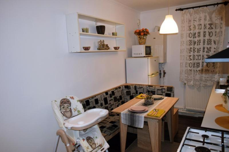 Ferienwohnung Apartament Thea Făgăraş Exterior foto