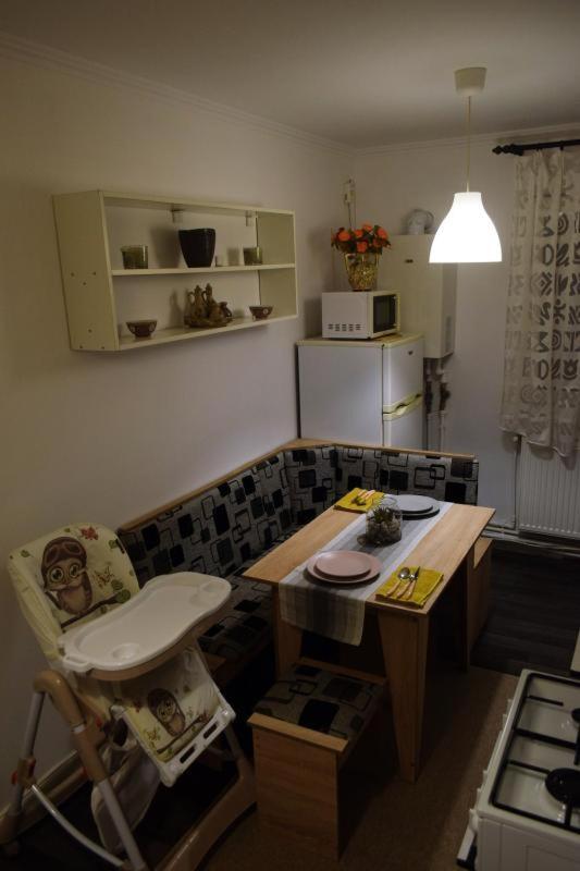 Ferienwohnung Apartament Thea Făgăraş Exterior foto